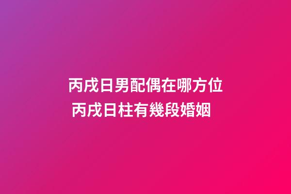 丙戌日男配偶在哪方位 丙戌日柱有幾段婚姻-第1張-觀點-玄機派